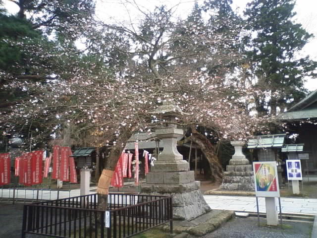 竹駒神社