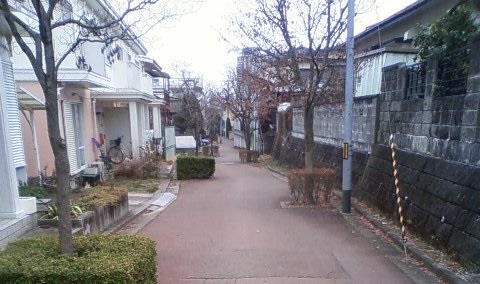 遊歩道散歩(八幡・赤道～春日神社)