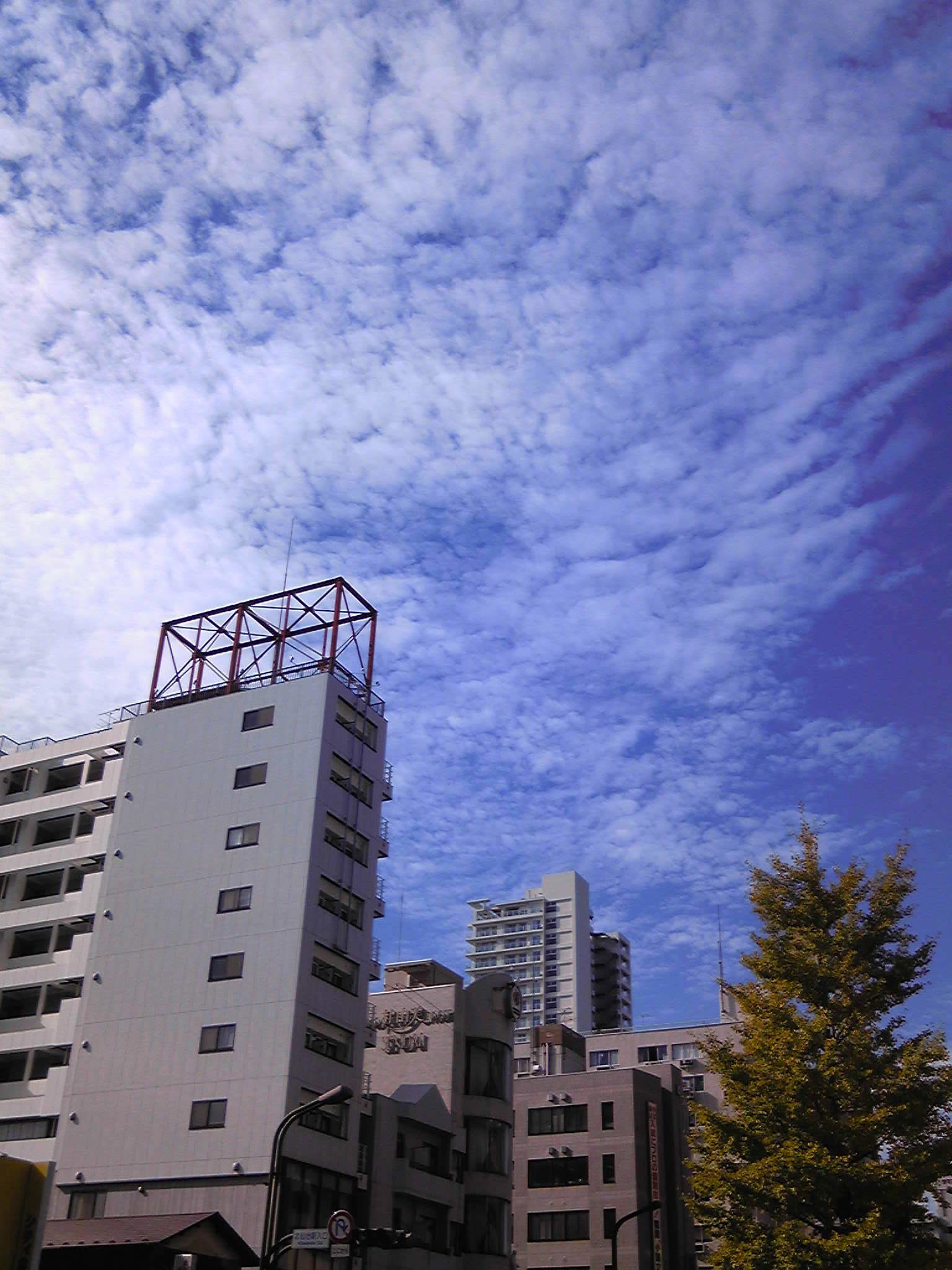 二十数年ぶり