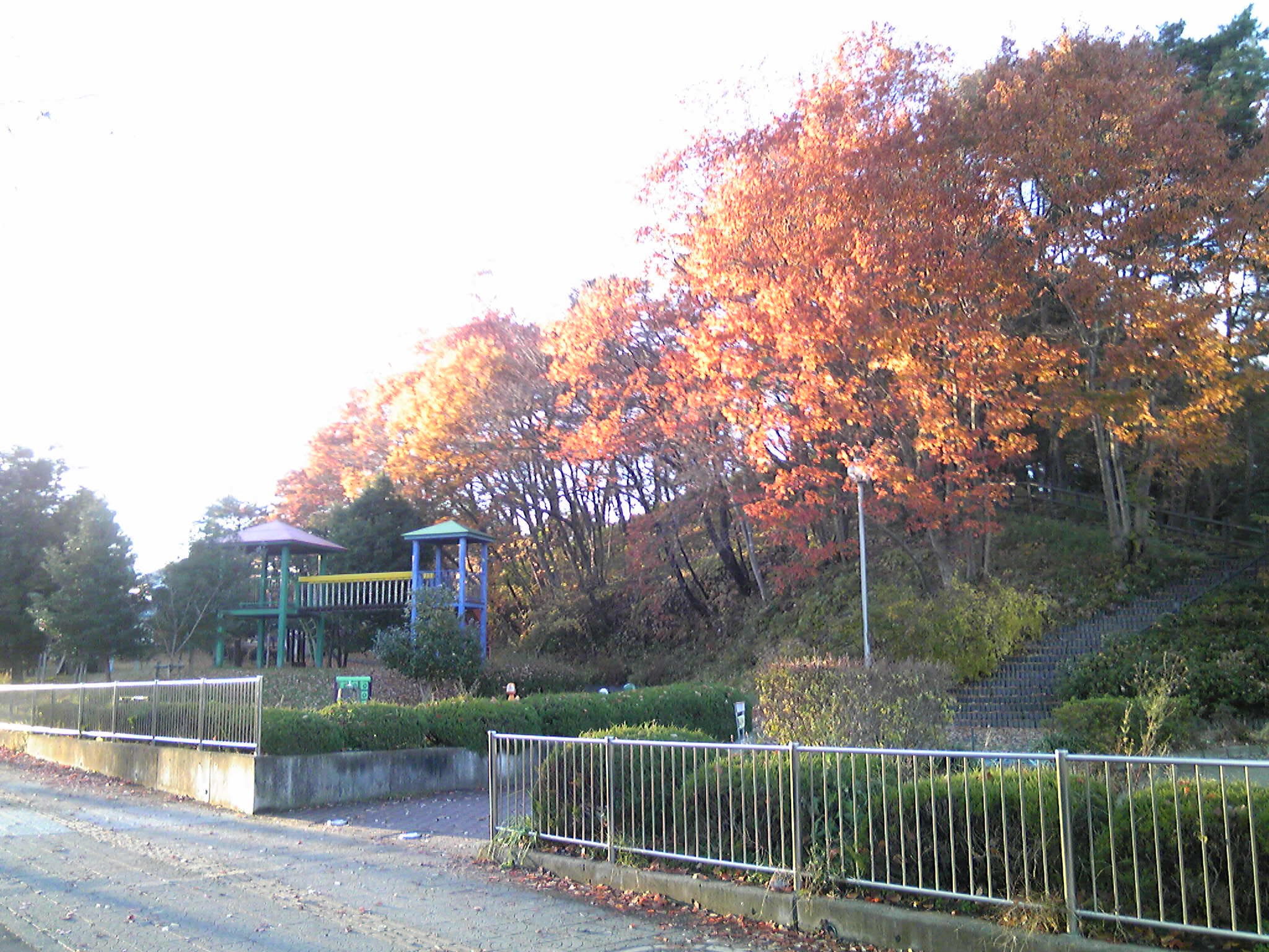 勝山東公園